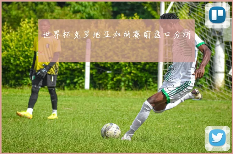 世界杯克罗地亚加纳赛前盘口分析