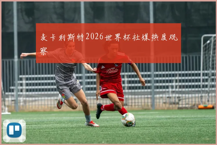 麦卡利斯特2026世界杯社媒热度观察