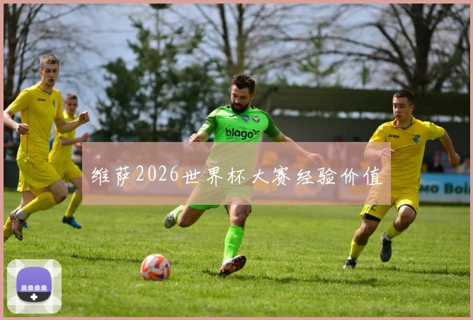 维萨2026世界杯大赛经验价值