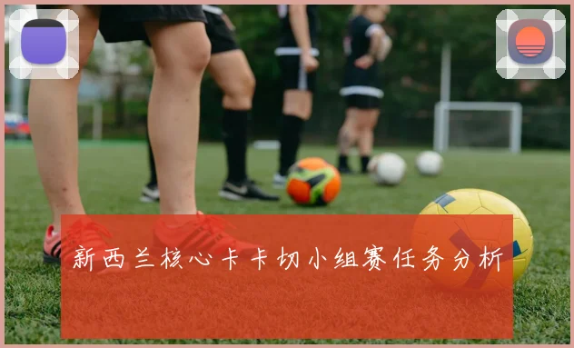新西兰核心卡卡切小组赛任务分析