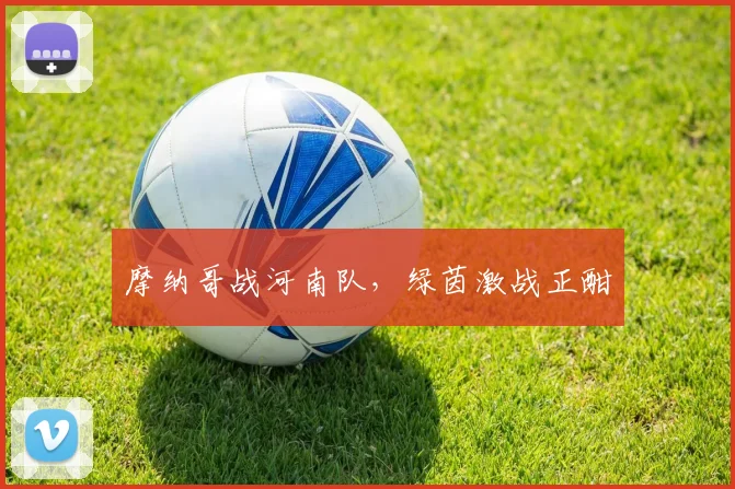摩纳哥战河南队，绿茵激战正酣