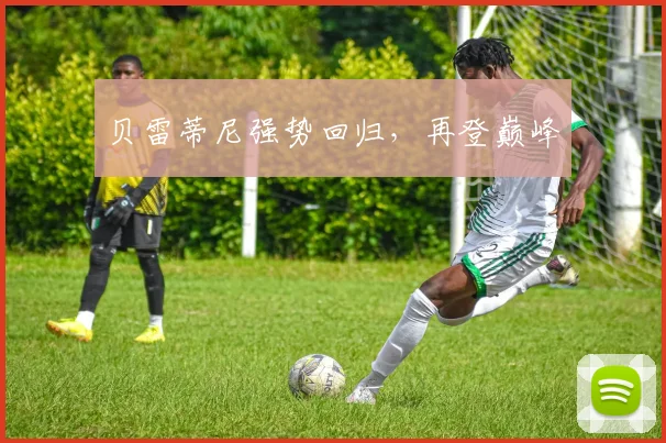 贝雷蒂尼强势回归，再登巅峰