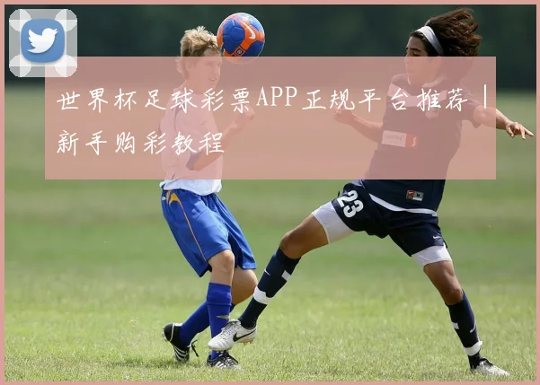 世界杯足球彩票APP正规平台推荐｜新手购彩教程
