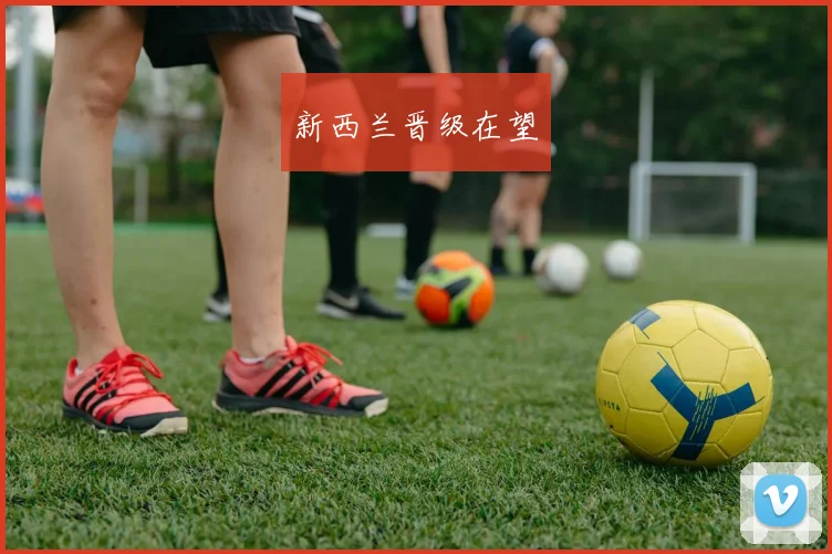新西兰晋级在望