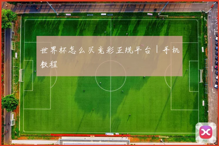 世界杯怎么买竞彩正规平台｜手机教程