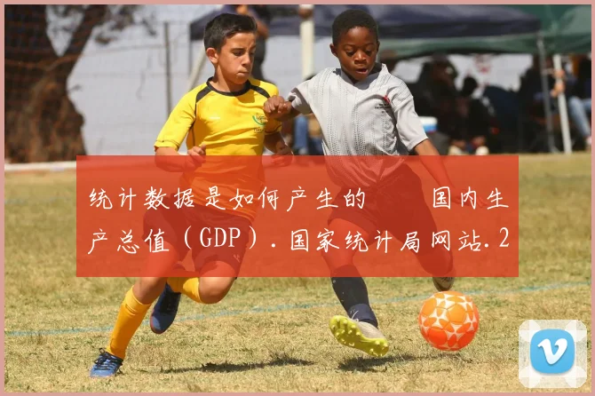 统计数据是如何产生的――国内生产总值（GDP）.国家统计局网站.2010-09-20