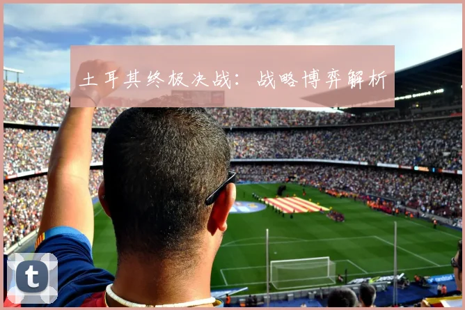 土耳其终极决战：战略博弈解析