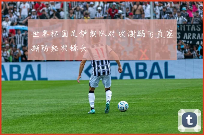 世界杯国足伊朗队对攻谢鹏飞直塞撕防经典镜头