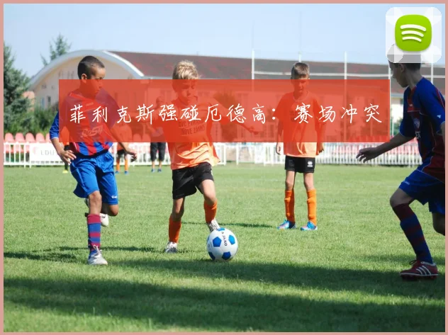 菲利克斯强碰厄德高：赛场冲突