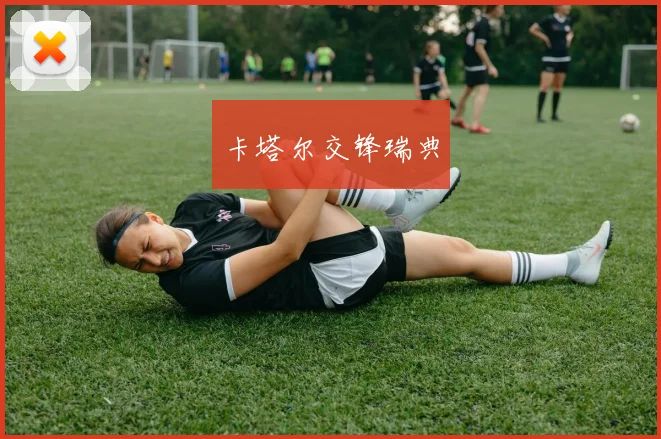 卡塔尔交锋瑞典