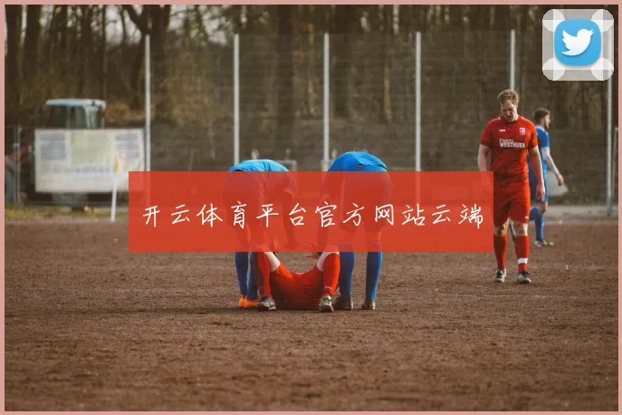 开云体育平台官方网站云端