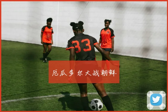 厄瓜多尔大战朝鲜