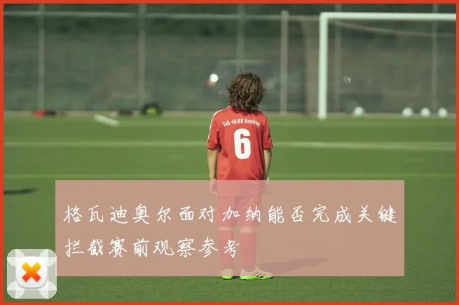 格瓦迪奥尔面对加纳能否完成关键拦截赛前观察参考