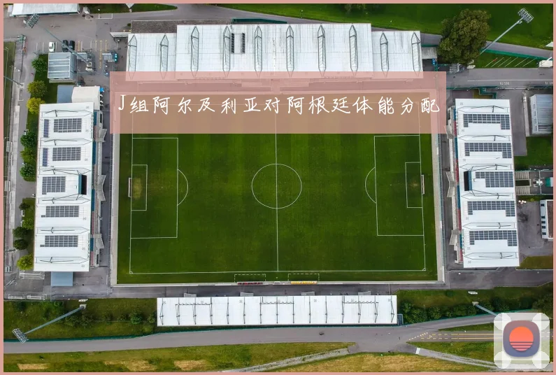 J组阿尔及利亚对阿根廷体能分配
