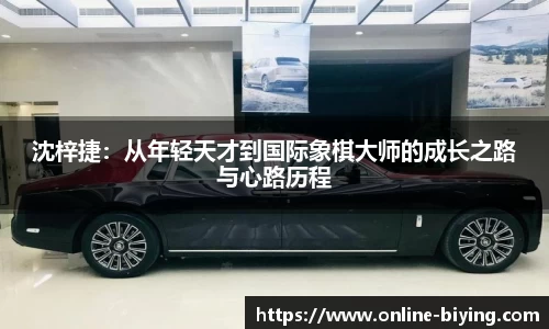 bwin必赢体育官网