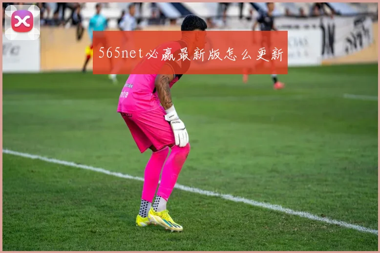 565net必赢最新版怎么更新