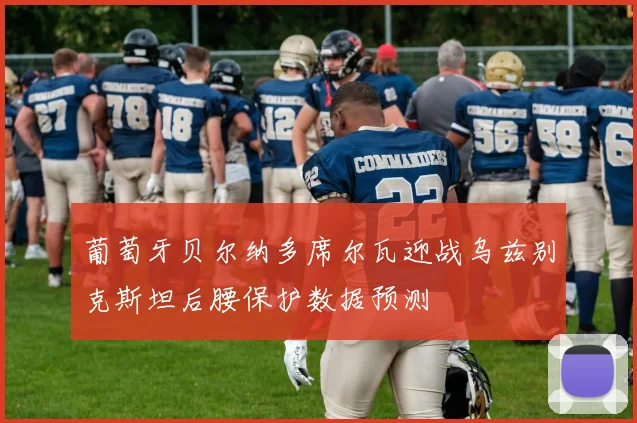 葡萄牙贝尔纳多席尔瓦迎战乌兹别克斯坦后腰保护数据预测